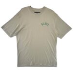 DICKIES Koszulka Męska Beżowa M - zdjęcie 1