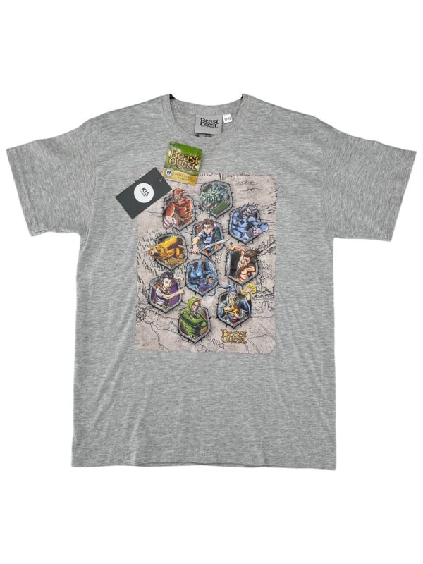 Koszulka Dziecięca Szara z Nadrukiem 146