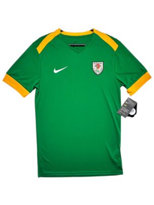 NIKE Koszulka Męska Zielona S
